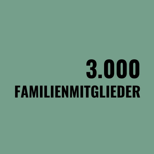 Salbeigrüne Kachel mit der Aufschrift "3.00 Familienmitglieder", Verlinkung auf die Team-Unterseite.